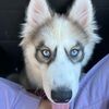 darlene_1220